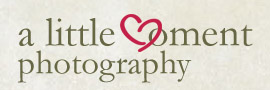 A Little Moment Photography
