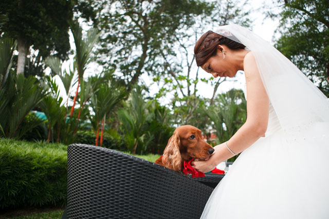Clara's Wedding Makeup by TheLittleBrush Singapore Makeup Artist