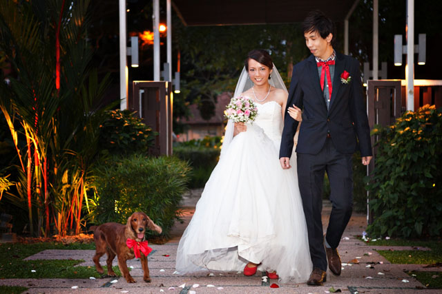 Clara's Wedding Makeup by TheLittleBrush Singapore Makeup Artist
